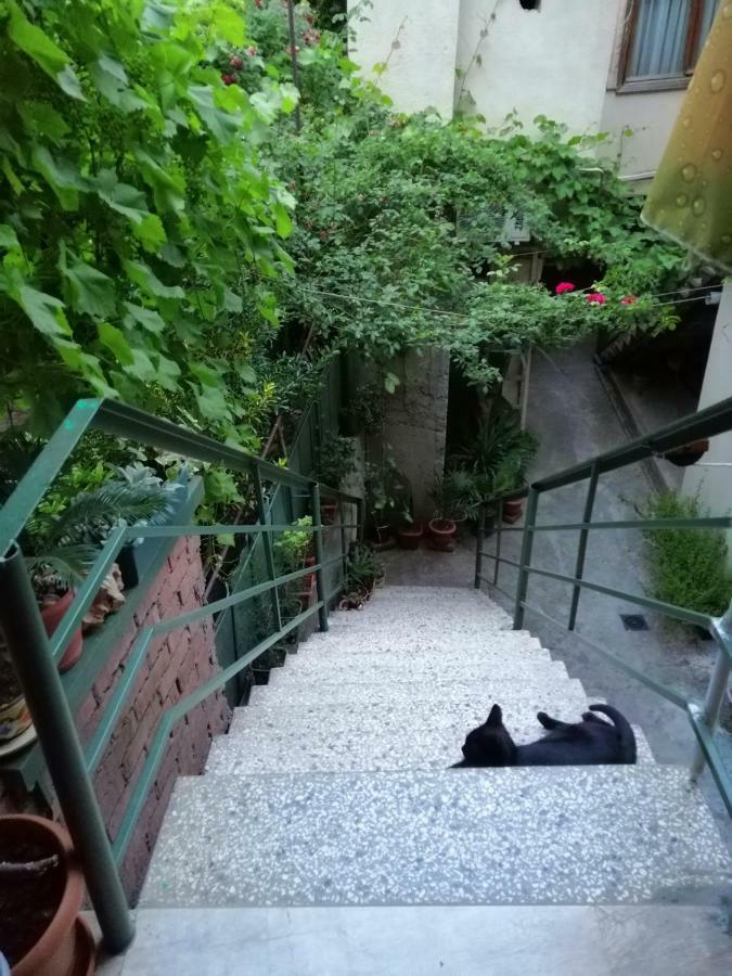 Guesthouse Different Tbilisi Exterior foto